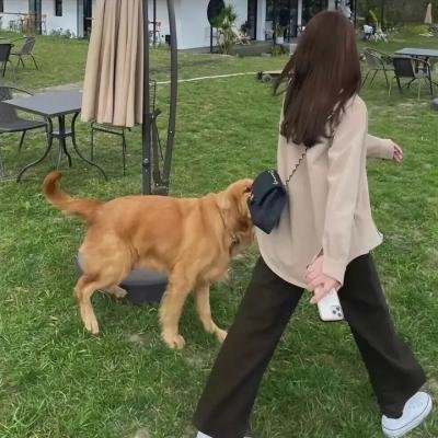 吾爱敦煌